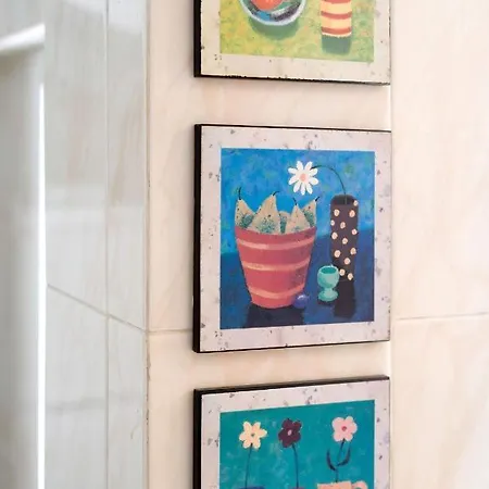 Buen Camino Apartamento Arzúa