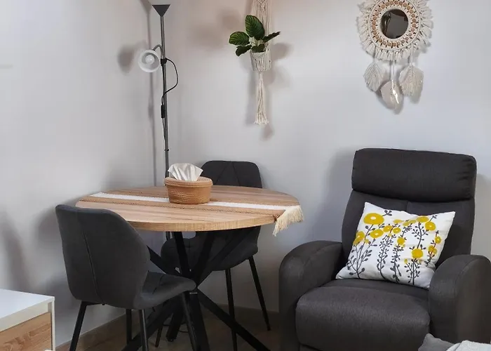 Buen Camino Apartamento Arzúa